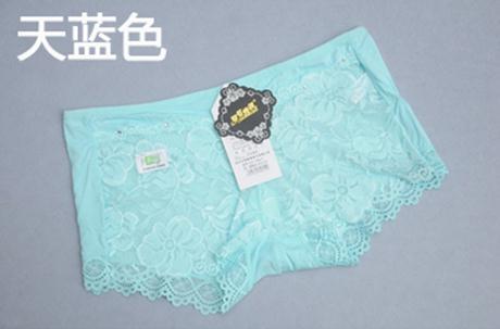 Free shipping  Sexy bud silk transparent ladies' underwear woman straight Angle pants wholesale and retail