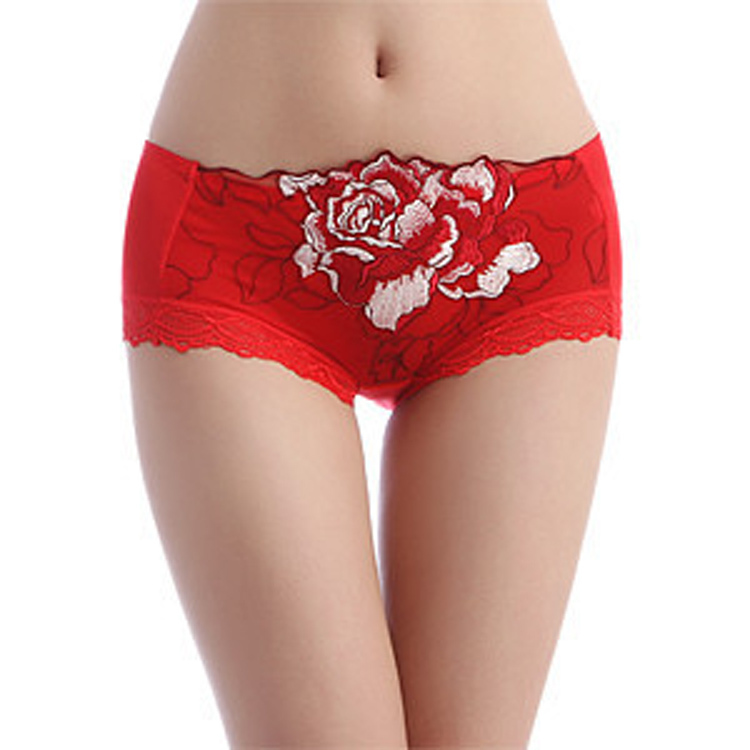 Free shipping sexy  embroidery seamless bamboo fibre antibiotic breathable briefs plus size panties