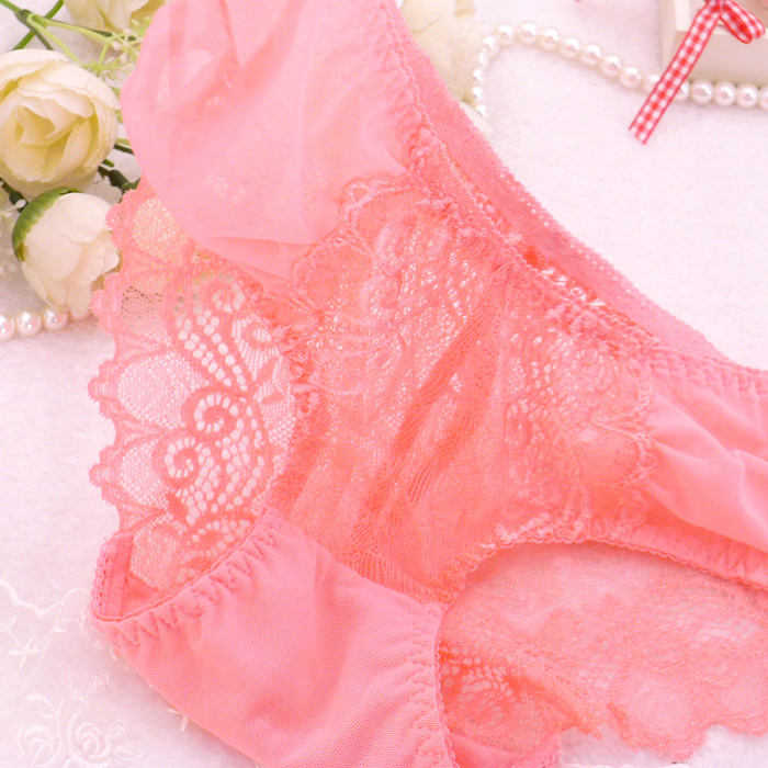 Free shipping sexy transparent underwear Ms. crocheted lace embroidered low waist sexy briefs