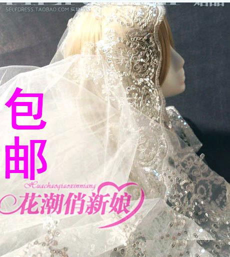 Free shipping Top quality luxury bridal veil silveryarn embroidery paillette lace veil 3 meters