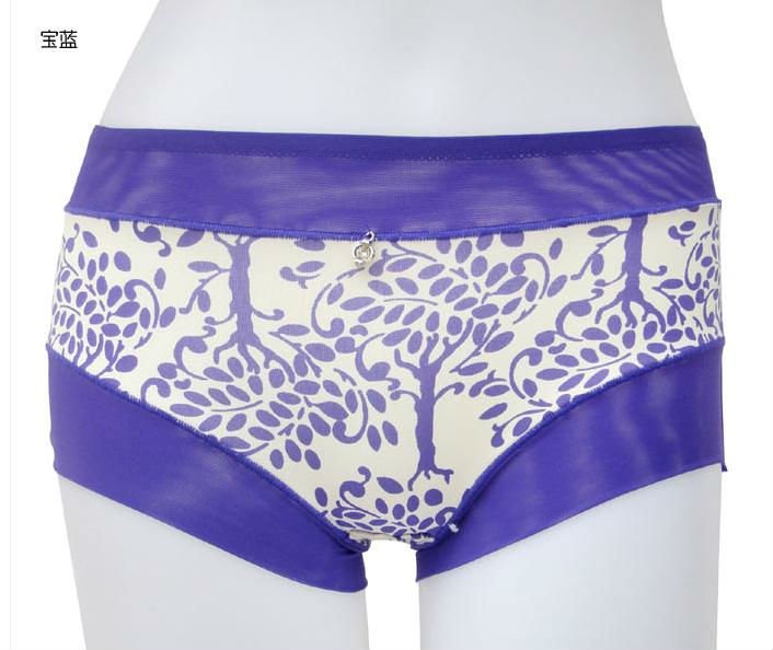 Free shipping via DHL, lady's pants, briefs, 60% bamboo fiber+ 30% cotton material, wholesale 60pcs/lot