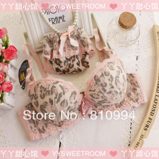 Free shipping Vineco sweet lace sexy royal embroidery leopard print underwear set women's push up bra set