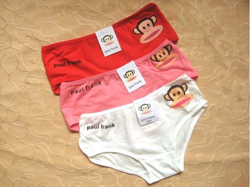 free shipping weekly underwear women sexy panties for women cotton lace underwear briefs sexy cartoon lingerie 7 pcs/lot