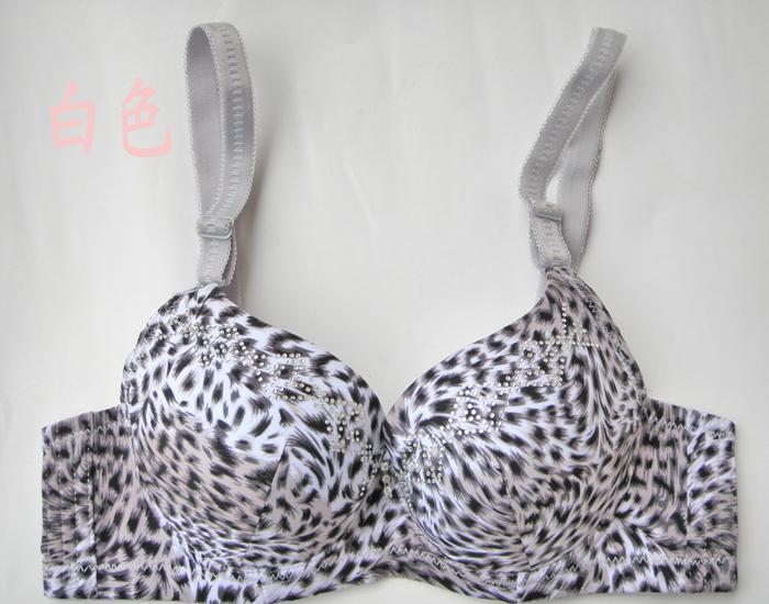 free shipping whole sale fashion leopard grain bra cover sexy ladies' underwear bra A B cup