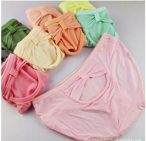 Free Shipping + Wholesale 12pcs/lot  Bamboo Fiber Comfortable Women Panties / Lady's Briefs  DNW33