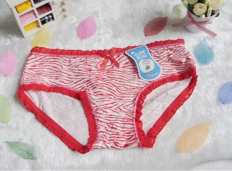 Free Shipping + Wholesale 12pcs/lot Women's Net yarn  underwear Breathable panties