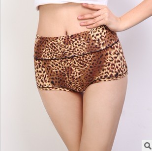 Free shipping wholesale LADY'S SEXY UNDERWEAR LEOPARD HIGH WAIST BRIEFS 10PCS/LOT 3COLOR FOR YOU CHOOSE