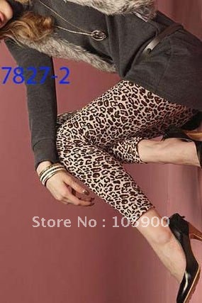 FREE SHIPPING! wholesale mixed order,10pcs/lot,stocking, ladies' leggings,fashion leggings,DL7827-2m