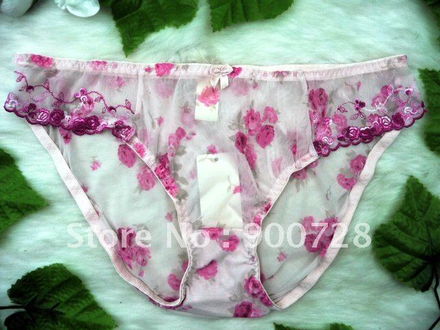 Free shipping Wholesale mixed style panties (100pcs/lot)110717-02 plus size ladies briefs