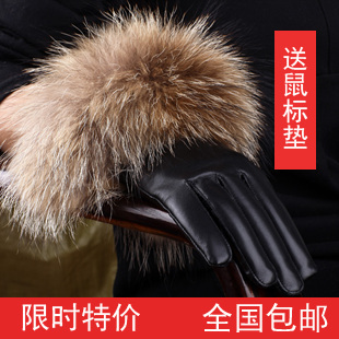 Free shipping Winter women's sheepskin genuine leather gloves women's large raccoon fur wool gloves