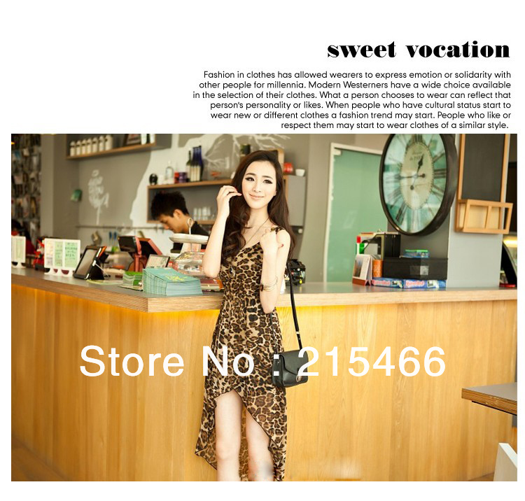 Free Shipping women's Summer Long Dress Asymmetrical Fashion Dress Leopard Dress