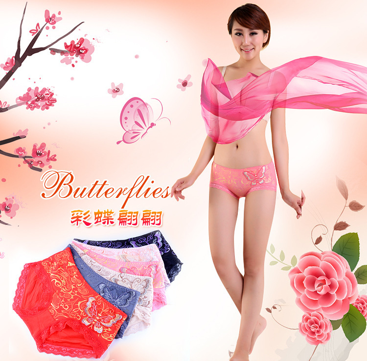 Free Shipping Women's Underwear / Everyday  Underwear / Comfrotable Briefs /  Women's Panties / Bamboo Fiber 5pcs/lot