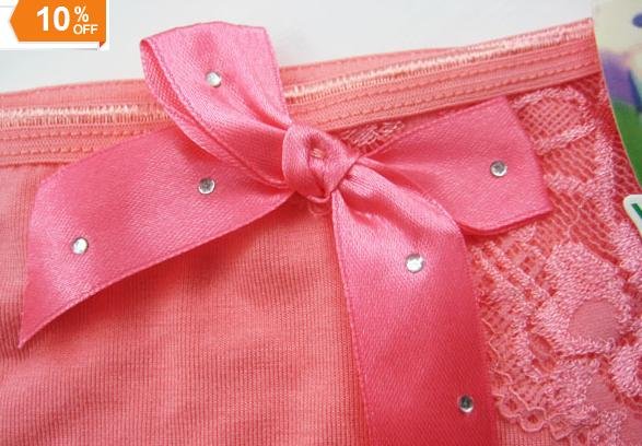 FREE SHIPPING!! Women's underwear lacy underwear with a beautiful butterfly tie women's fashional briefs