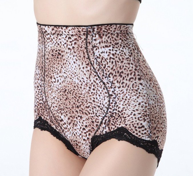 FREE SHIPPING women shapers nylon with spandex sexy mesh brief hight waist underwear, control panties ,accepting drop shipping