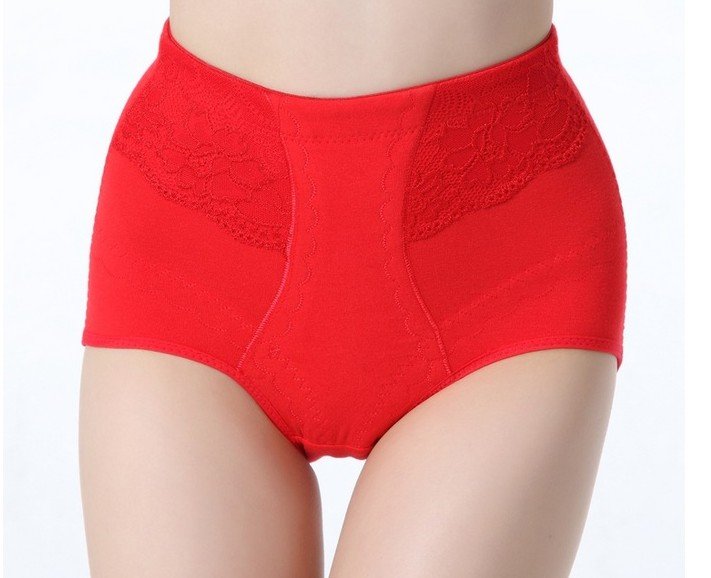 FREE SHIPPING women shapers nylon with spandex sexy mesh brief underwear,keep fit, abdomen control top,accepting drop shipping