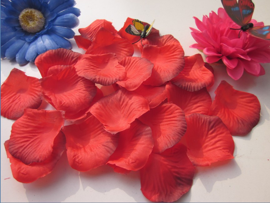 free shippping! two tone color red with black wedding rose petals party table flower petal