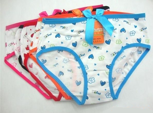 FreeShipping 12Pcs/Lots Women's underwear Floral Cotton Seamless Briefs Design Fashion Sexy And Comfortable 2013 New Hot