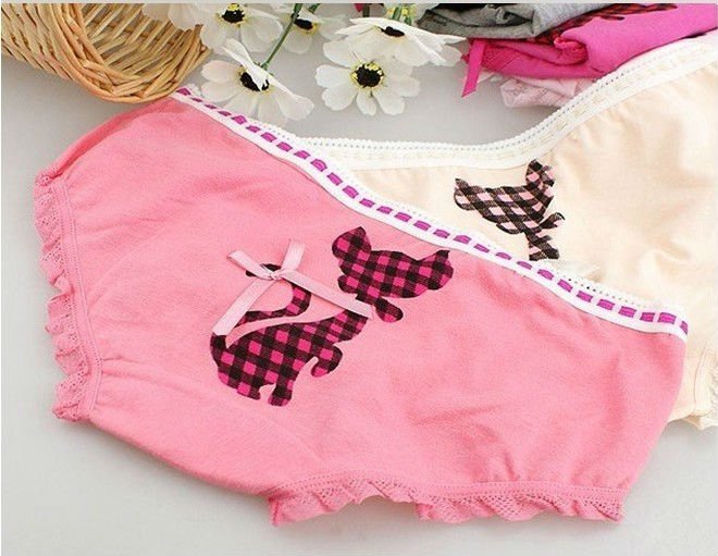 Freeshipping Ladies Lovely cat printed underwear briefs wholesale 20pcs/lot