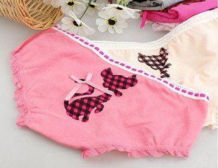 Freeshipping  Ladies Lovely cat printed underwear briefs wholesale