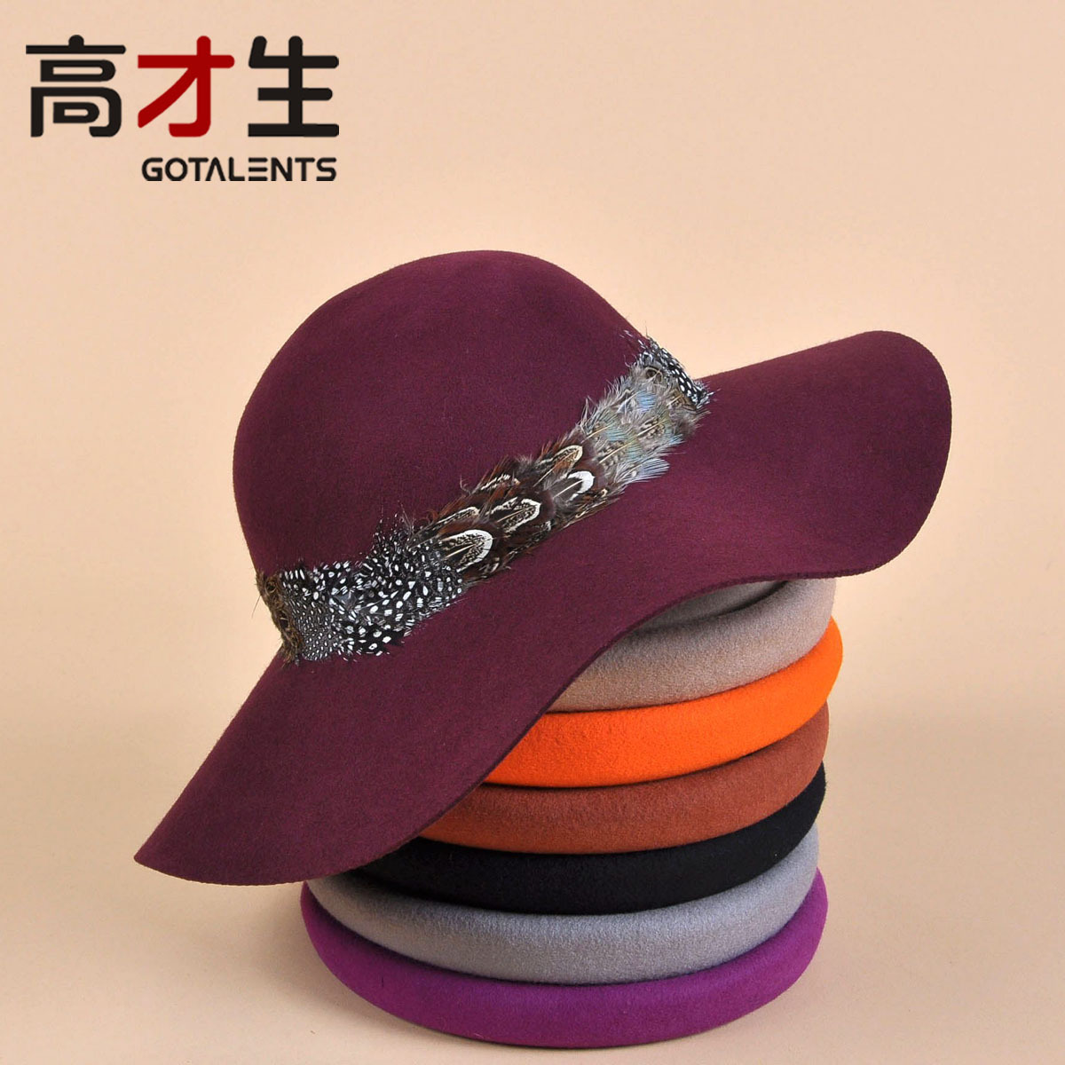 freeshipping retail and wholesale Fashion vintage woolen cap feather decoration cap women's large brim sunscreen hat  G1122
