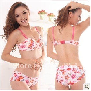 Freeshipping Seamless bra sets 2012 hot on sale, Free shipping, adjustable, put up brassiere,A8505