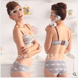 Freeshipping Seamless bra sets high quality adjustable brassiere,women lace large bra,A8509