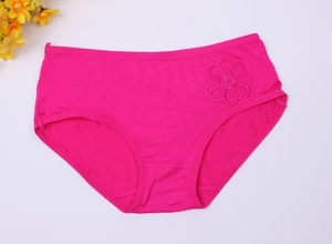 Global free shipping, Antibacterial bamboo fiber women briefs