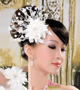 Gorgeous family photo studio classic * elegant atmosphere bride bridal headdress flower head