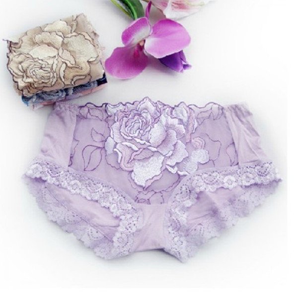 Healthy Ladies Collagen Briefs Embroidered flowers underwear women Lace Underpants Free shipping D-2008