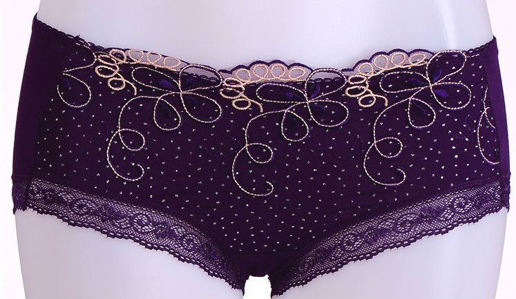 High Grade Lace&Embroidery Bamboo Fiber  Ladies Briefs  10pcs/lot Free shipping