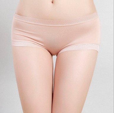 High Quality 5pcs/lot Wemen's Sexy Underwear Wemen Underwear Panties