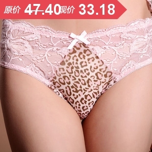 High quality luxury sexy powder leopard print lace transparent female panties briefs underwear