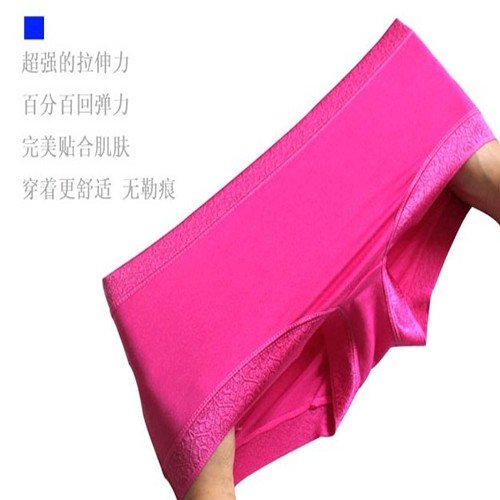 High quality Women's Modal underwear Ladies briefs Ms. Panties 10pcs/lot Free shipping D-2005