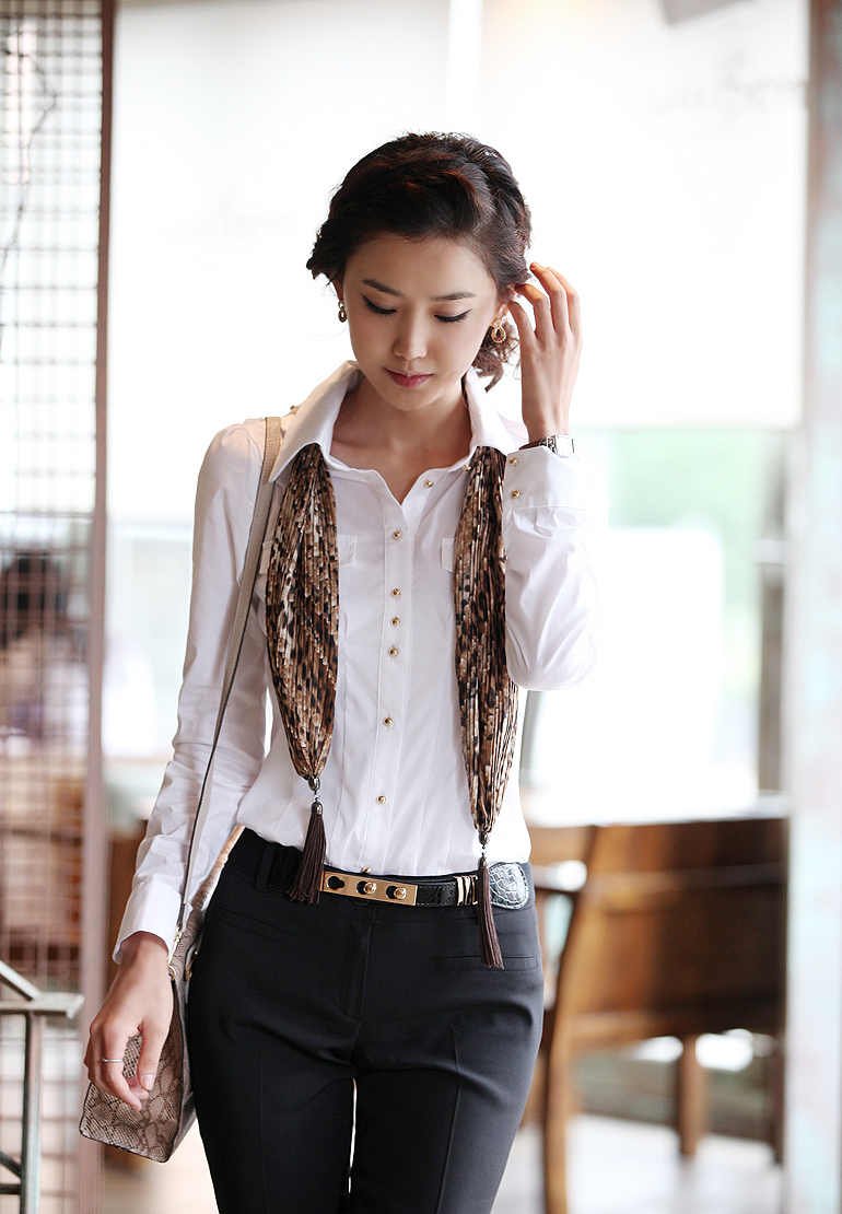 Hight quality 2012 summer new style,ladies' long sleeved shirts,elegant ladies' OL/Career shirt/Blouse,Wholesale X1810