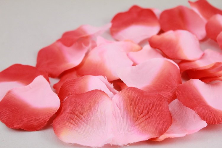 Hot 2000Pcs SILK FABRIC Rose Petals Wedding Flower Decoration Party Free shiping;Red&Pink;E1-0003