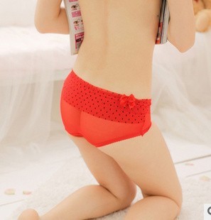 Hot new best female underwear transparent wholesale ladies underwear brand yarn butterfly net