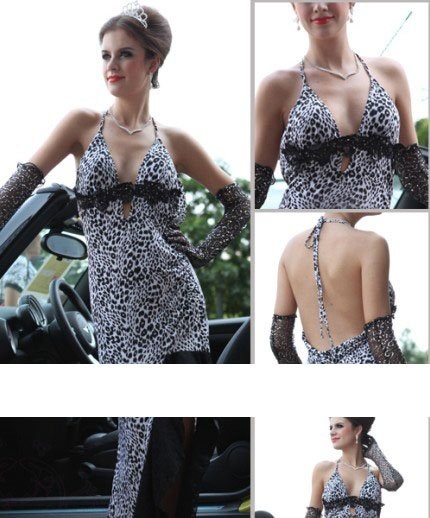 Hot sell,100% New,deep V design ,leopard fashion dress for women with good quality , free shipping wholesaler