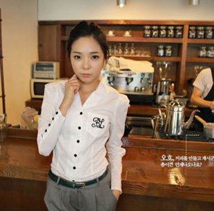 Hot Sell+Promotion Price.2012 Fashion Ladies elegant Blouse,Womens Blouse,Ladys Shirt,OL Blouse,Womens clothing S-L Free Ship