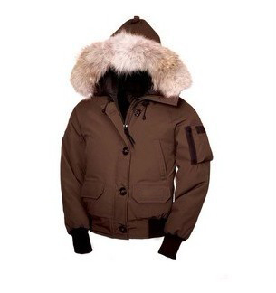Hot Selling 4 Colors Ladies Hooded Down Jacket Winter Coat Warm Goose Down Parka Trillium Jacket Fur Collar Women Down Coat