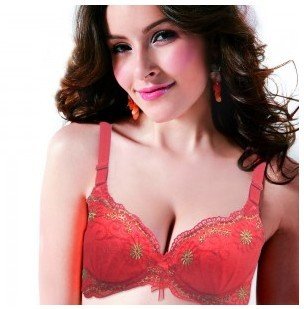 HOT Summer women's bra breathable lace Bra Free shipping X029