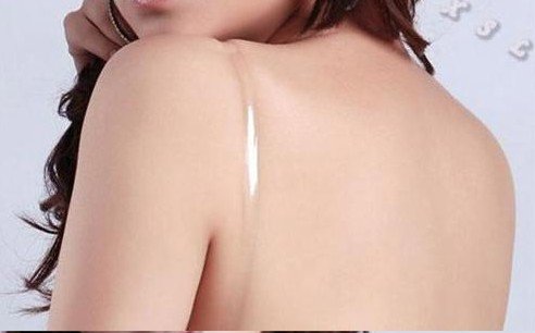 hot wholesale! high quality transparant plastic invisible bar strap 100pcs/lot free shipping