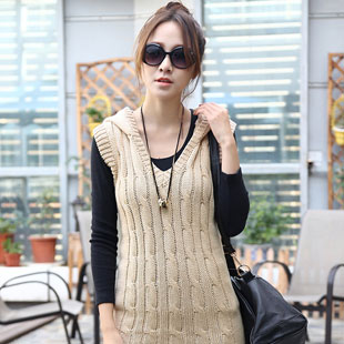 HSTYLE 2013 spring Women slim with a hood solid color sweater nw2047