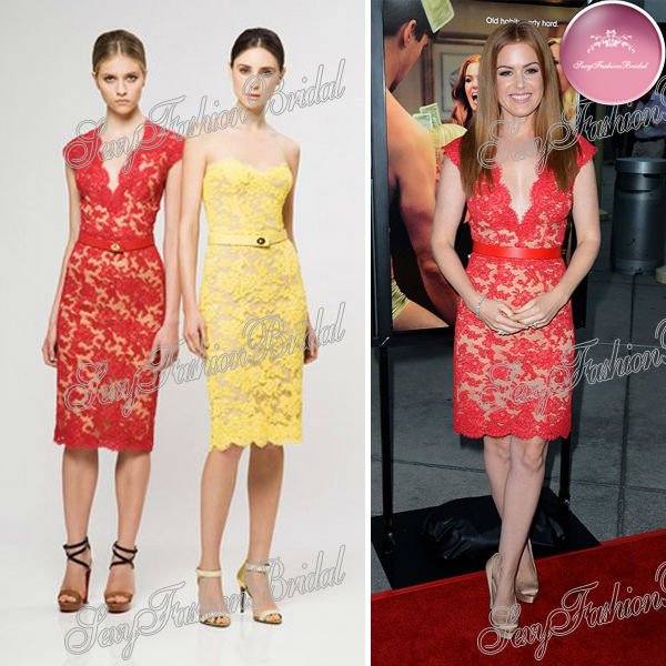 Isla Fisher in Reem Acra at the Premiere in Hollywood mid-calf Red Carpet formal evening lace Celebrity Dresses