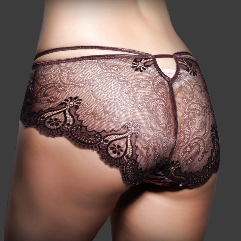 Lace sexy low-waist butt-lifting transparent panty briefs 85023