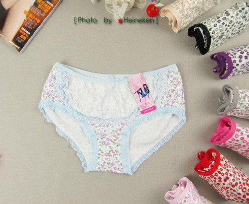 Ladies cotton Printed briefs Free shipping 7354