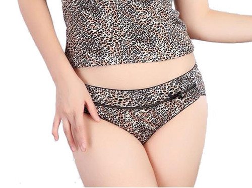 Ladies Panties Sexy Soft Leopard Knickers Iace Tanga Underwear 4Sizes R150