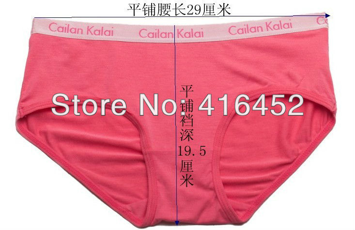 LADIES SHORTS cotton