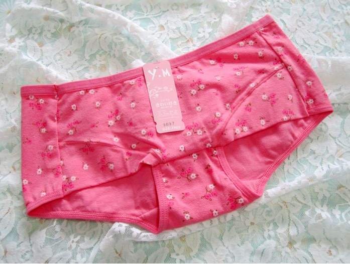 Lovely Pastoral Saika Woman Underwear Cotton Briefs Wholesale Free Shipping#1375