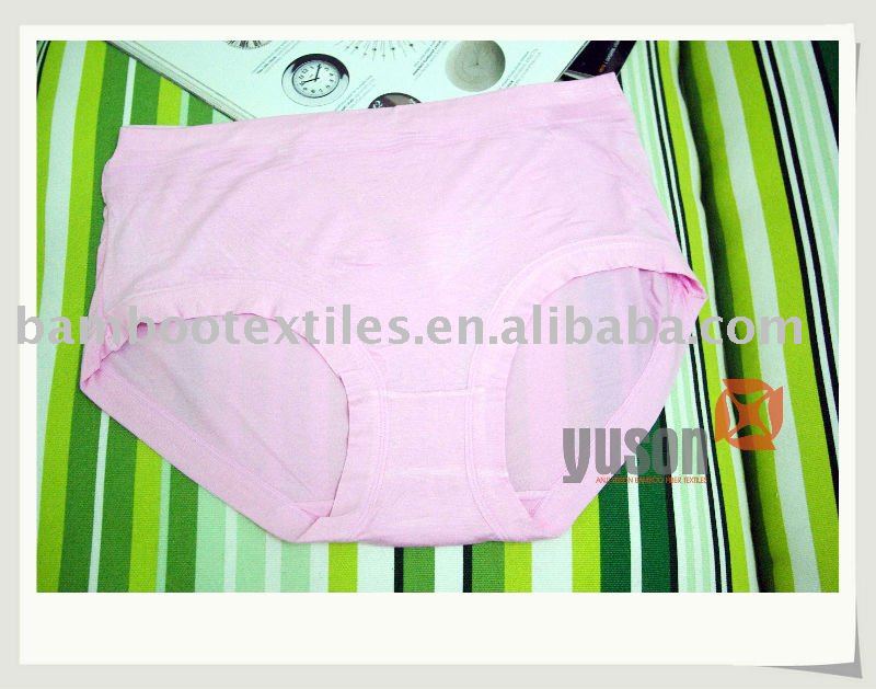 LUB 17 - Ladies Comfortable Bamboo Underwear Large