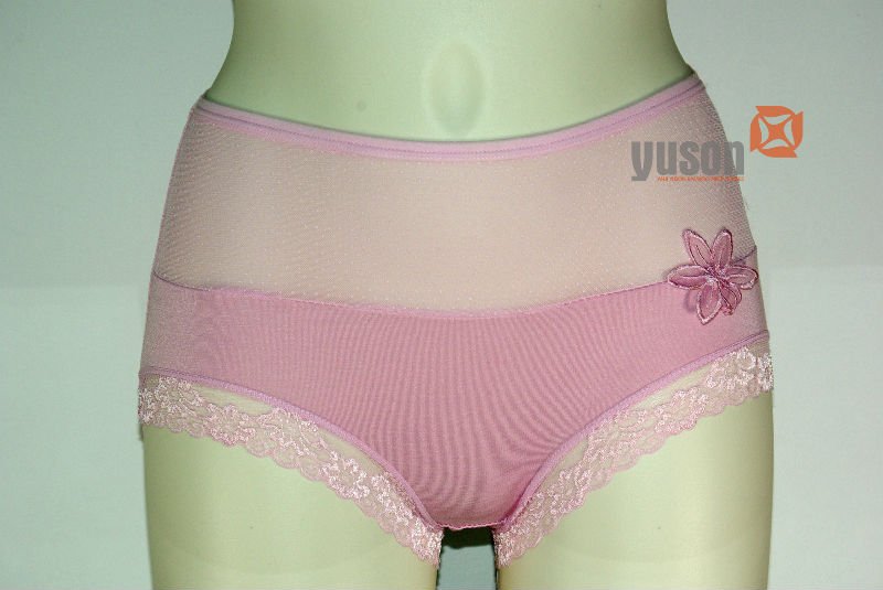 LUB 22 - Clearing!!! Modal Cotton Ladies Underwear Hollow Out